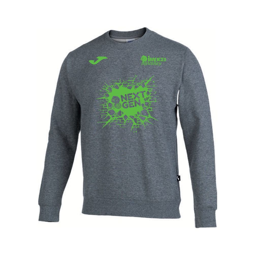 FELPA GRIGIA GIROCOLLO EDIZIONE 2025