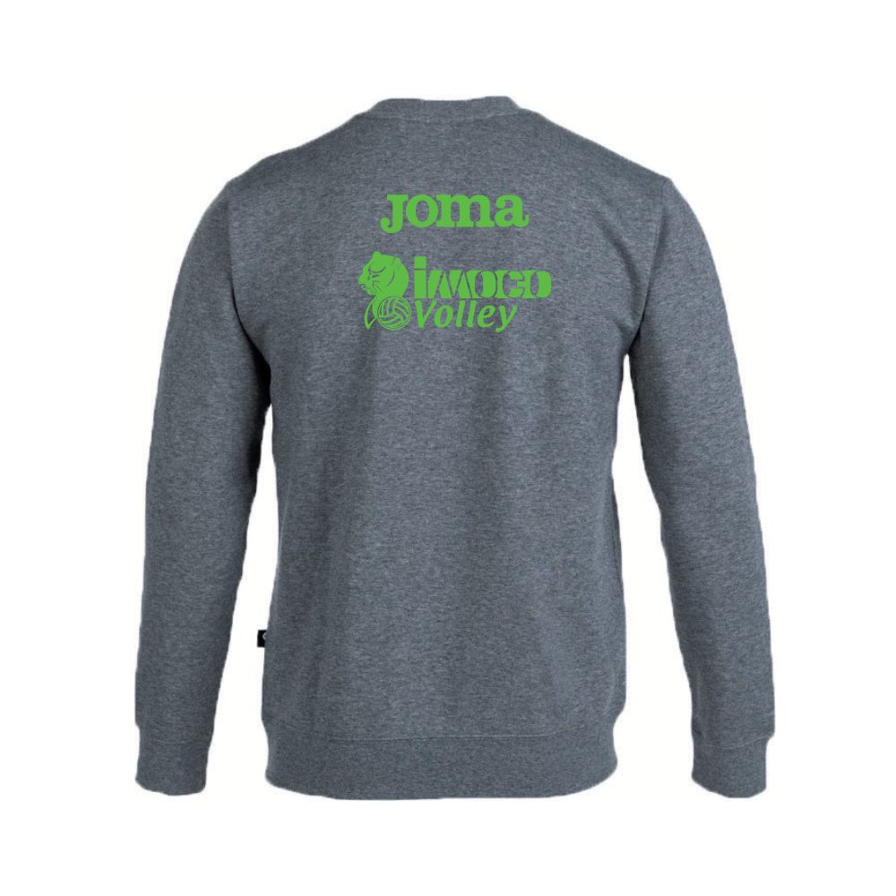 FELPA GRIGIA GIROCOLLO EDIZIONE 2025