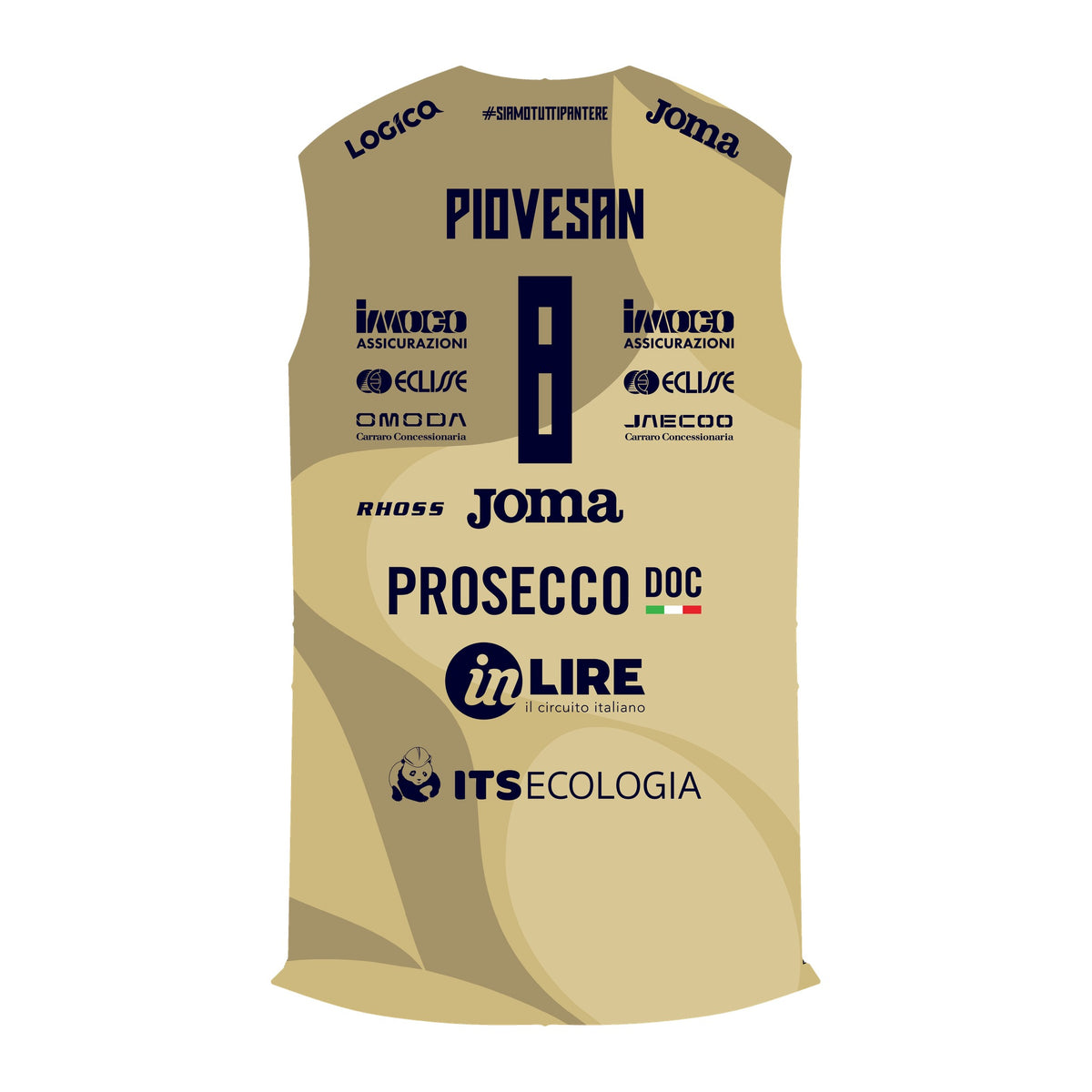 Camisa usada em jogo e autografada – Haak